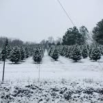 Epi Perez - @epi.perez.7528 - Instagram