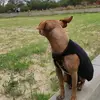 epifaniaquiroga4 - @juliaquiroga26 - TikTok