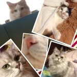 natsu - @epitan - Instagram