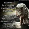epifaniovelasco81 - @epifaniovelasco81 - TikTok