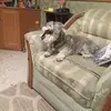 Epifania Bautista - @epifania.bautista3 - TikTok