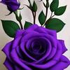 Epifania Castro - @epifania.castro97 - TikTok