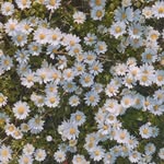 Epifanía Contreras - @epi.con.mu - Instagram