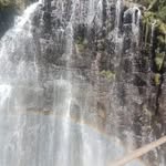 Epifania Contreras - @dhalia6740 - Instagram