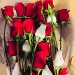 Epifania Y Las Flores - @epifaniaylasflores - Instagram