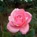 Epifania Garcia - Facebook