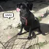 Epifania Hernandez - @mari._epifania - TikTok