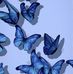 Epifania Juarez - Facebook