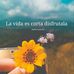 Epifania Martinez - Facebook