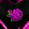 Epifania Martinez - @epifaniamartinez - TikTok