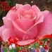 Epifania Mateo - Facebook