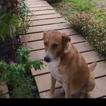 Epifania Serna Medina - @episan82615 - Instagram