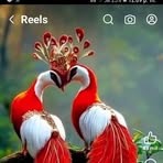 Epifania Morales - Facebook