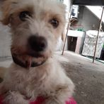 Epifanio Olvera - Facebook