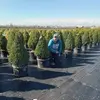 Epigmenio Ortega - @epigmenio.ortega - TikTok