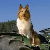 epimenio - @epimenio - TikTok
