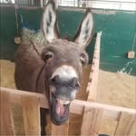 Jennifer Boyle Eppler - @jeneppler - Instagram