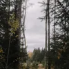 gardnerquilla - @gardnerquilla - TikTok