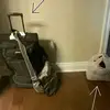 white_tequilla - @white_tequilla - TikTok