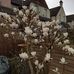Edwina Hartwell - Facebook