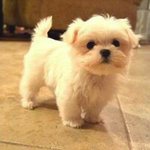 Vera Ellis - @vera.ellis.56 - Instagram