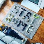 Vera Foster - @verafoster9017 - Instagram