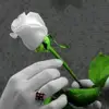 Era Gupta - @user140063245 - TikTok