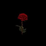 era - @e.r.a.king - Instagram