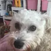 eranmcdonald - @eranandlola - TikTok