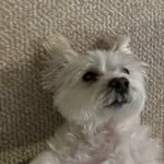 Vera McDonald - @mcdonaldvera - Instagram