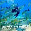 erasmoarenasgarci - @erasmoarenasgarci - TikTok