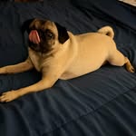 Erasmo Castillo - @erasmoecastillo - Instagram