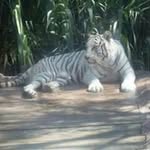 Erasmo Duran - @erasmod12 - Instagram