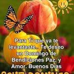 Erasmo Gil - @erasmogil17 - Instagram