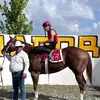 Erasmo Gil Segovia - @erasmo.gil.segovi0 - TikTok