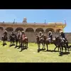 Erasmo Marquez - @erasmomarquez790 - TikTok
