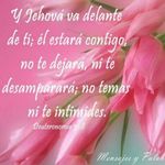 Erasmo Martinez - @erasmo.martinez.946179 - Instagram