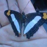 Erasmo Medina - @erasmo.medina - Instagram