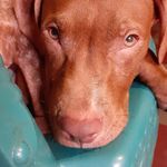 Cesar Erasmo Medrano - @erasmo.medrano.31 - Instagram
