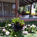Erasmo Medrano - Facebook
