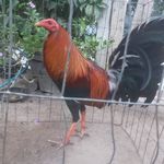 Erasmo Mendez - @mendezerasmo - Instagram
