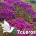 Erasmo Moreno - Facebook
