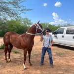 Erasmo Navarro - @erasmo.navarro.9803 - Instagram