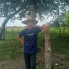 Erasmo Ortega - @erasmo.ortega77 - TikTok