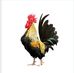 Erasmo Ortega - Facebook