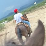 Erasmo Uviña Ortega - @uvinaortega - Instagram