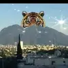 Erasmo Ortiz Galvan - @erasmoortizgalvan - TikTok