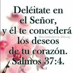 Erasmo Osorio - @garciawaldemar010 - Instagram