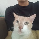 jorge erasmo peña enriquez - @enriquezjorgeerasmopena - Instagram
