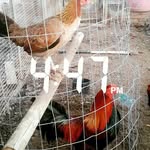 Erasmo Prieto - @_erasmo.prieto_ - Instagram